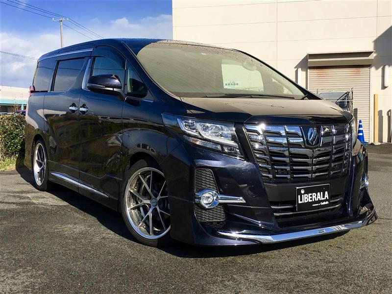 Toyota Alphard: поездка со всеми удобствами